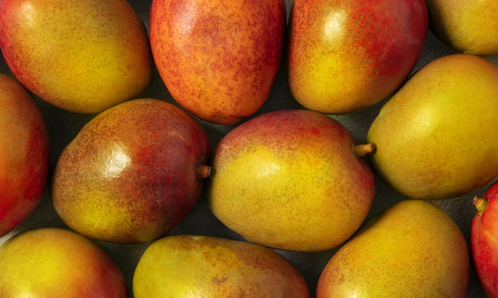 Viele frische, Mangos mit orangener und gelber Schale nebeneinander