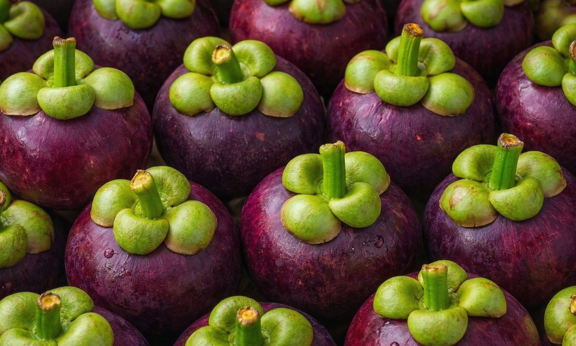 Eine strukturierte Nahaufnahme von vielen frischen, violetten Mangostan-Früchten mit ihren markanten grünen Blattkrönen, die dicht an dicht liegen.