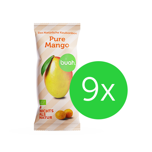 Organic mango chews
