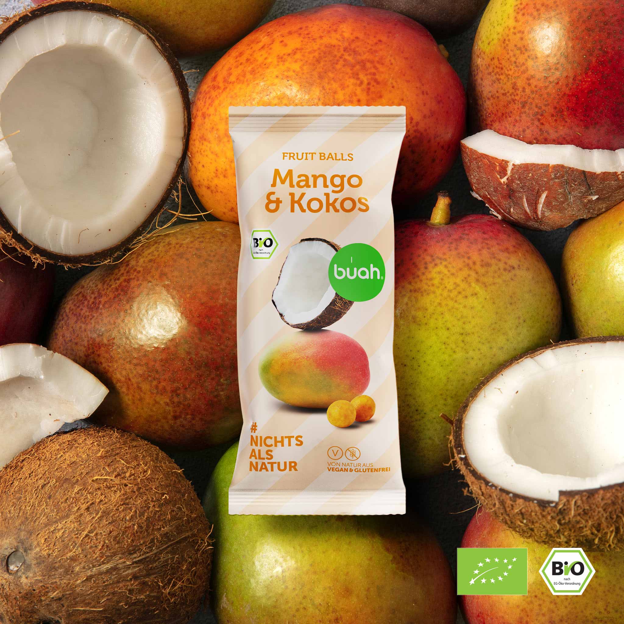 Bio Mango Kokos Fruit Balls