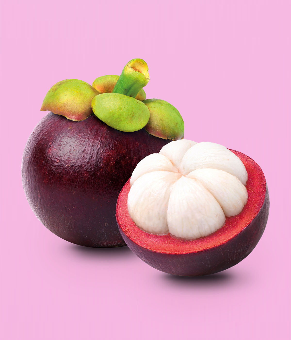 buah_frucht_mangostan. Eine frische, violette Mangostan-Frucht mit grünem Stielansatz liegt neben einer aufgeschnittenen halben Frucht, die das weiße Fruchtfleisch zeigt, vor einem pinken Hintergrund.
